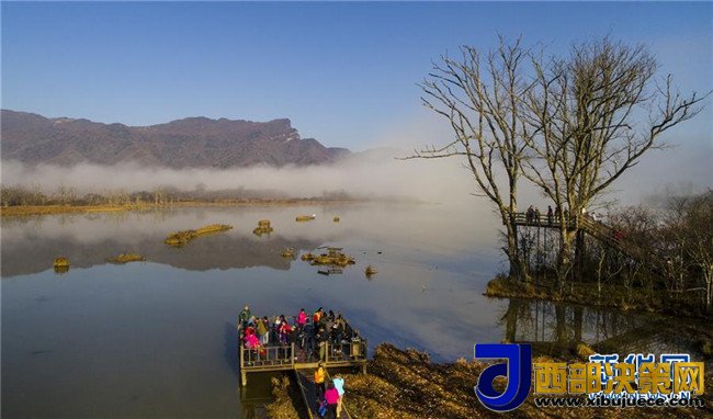 1510189453131909.jpg 6.jpg