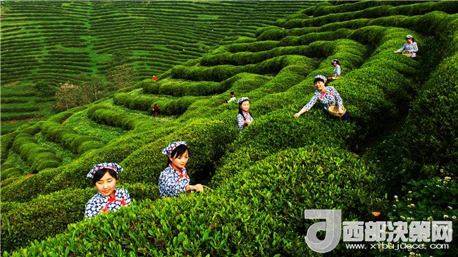 1511336635872598.jpg 4.jpg