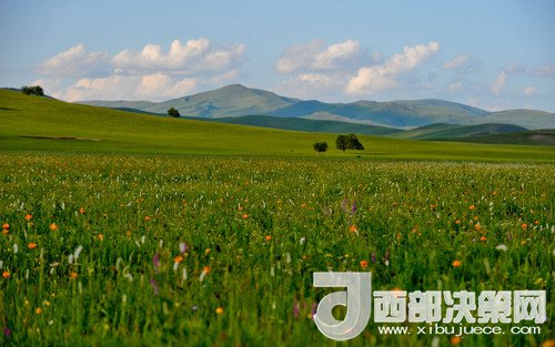 錫林郭勒草原。吳勇攝
