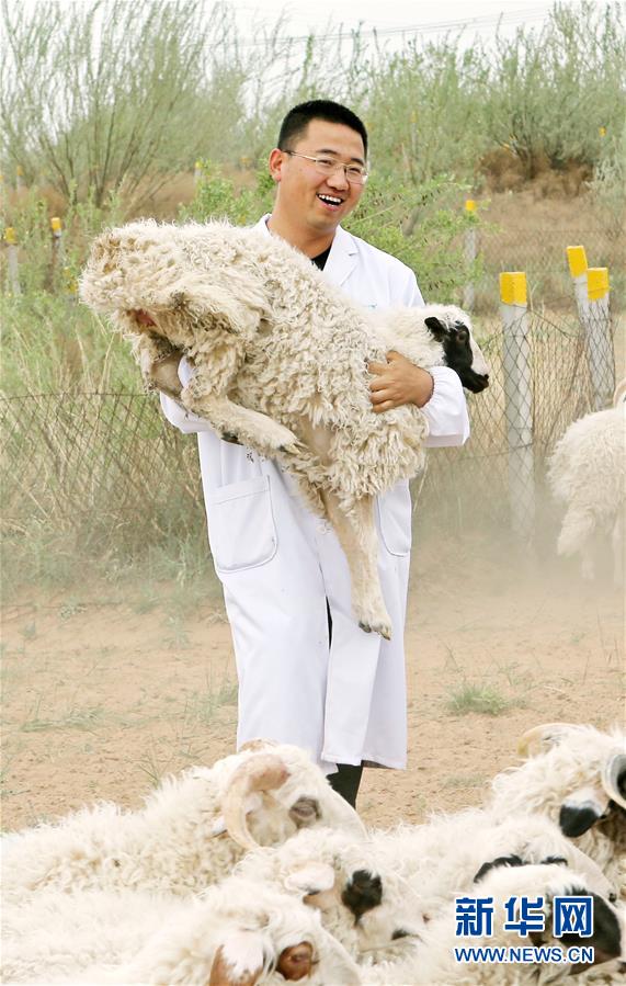 （壯麗70年·奮斗新時代——共和國發(fā)展成就巡禮·圖文互動）（3）生態(tài)美、百姓富——品讀嶄新“寧夏畫卷”