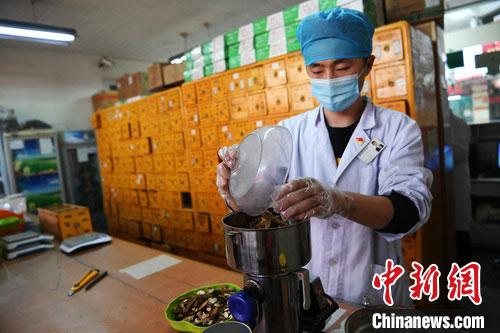 疫情發(fā)生以來，甘肅確保所有病例盡早、及時、全程使用中醫(yī)中藥，努力做到“一患一方案”。(資料圖) 楊艷敏 攝