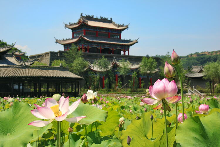 【云游渭南】心中若有桃花源，此處便是水云間！待疫情散盡，一起來渭南桃花源賞美景、觀民俗、享美食_fororder_2